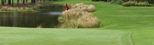 Golf Rates